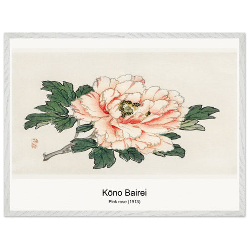 Pink rose (1913) by Kōno Bairei. Archival Print on Museum Quality Matte Paper. Premium Wood Framed Wall Art. Optimised Aspect Ratio.