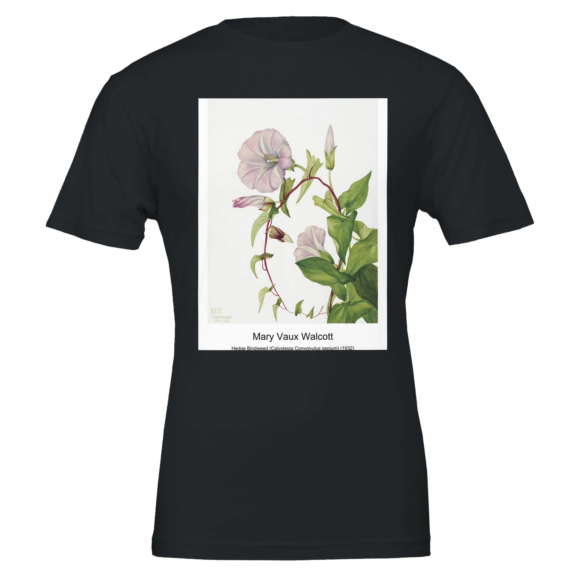 14a1f390-1cde-4eaa-9e65-8111fb500284