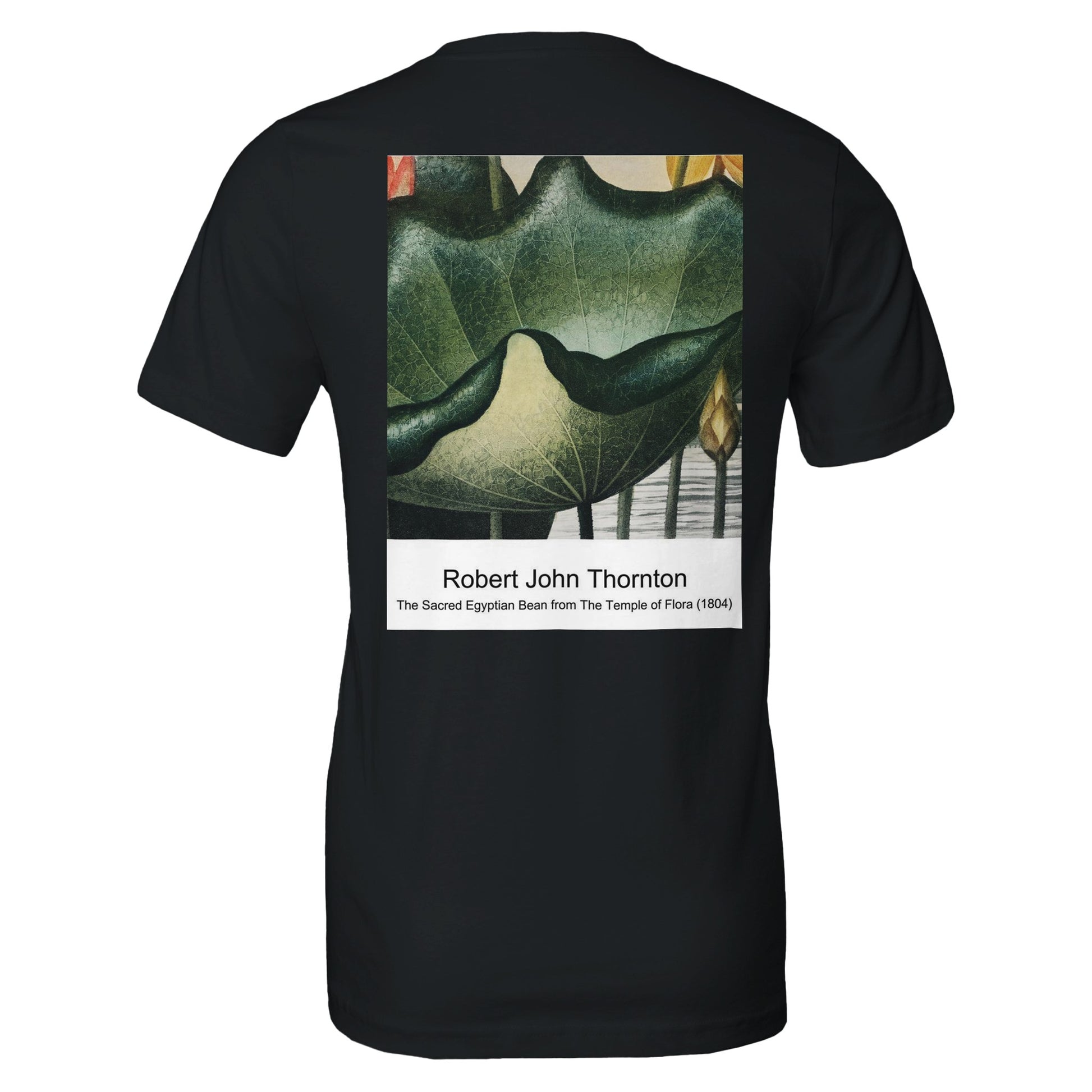 14bbadd6-c9b5-49d1-b3c6-bb177de671b3