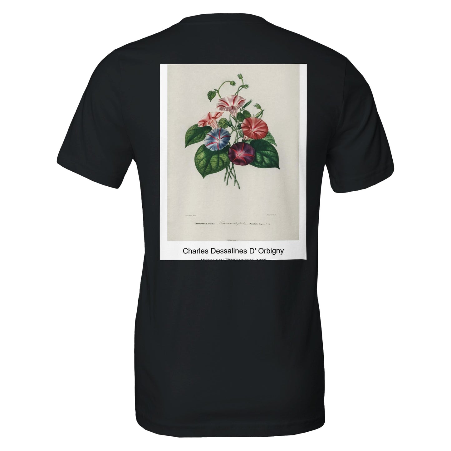 15531ebb-7db4-48c6-bd26-baa80d697789