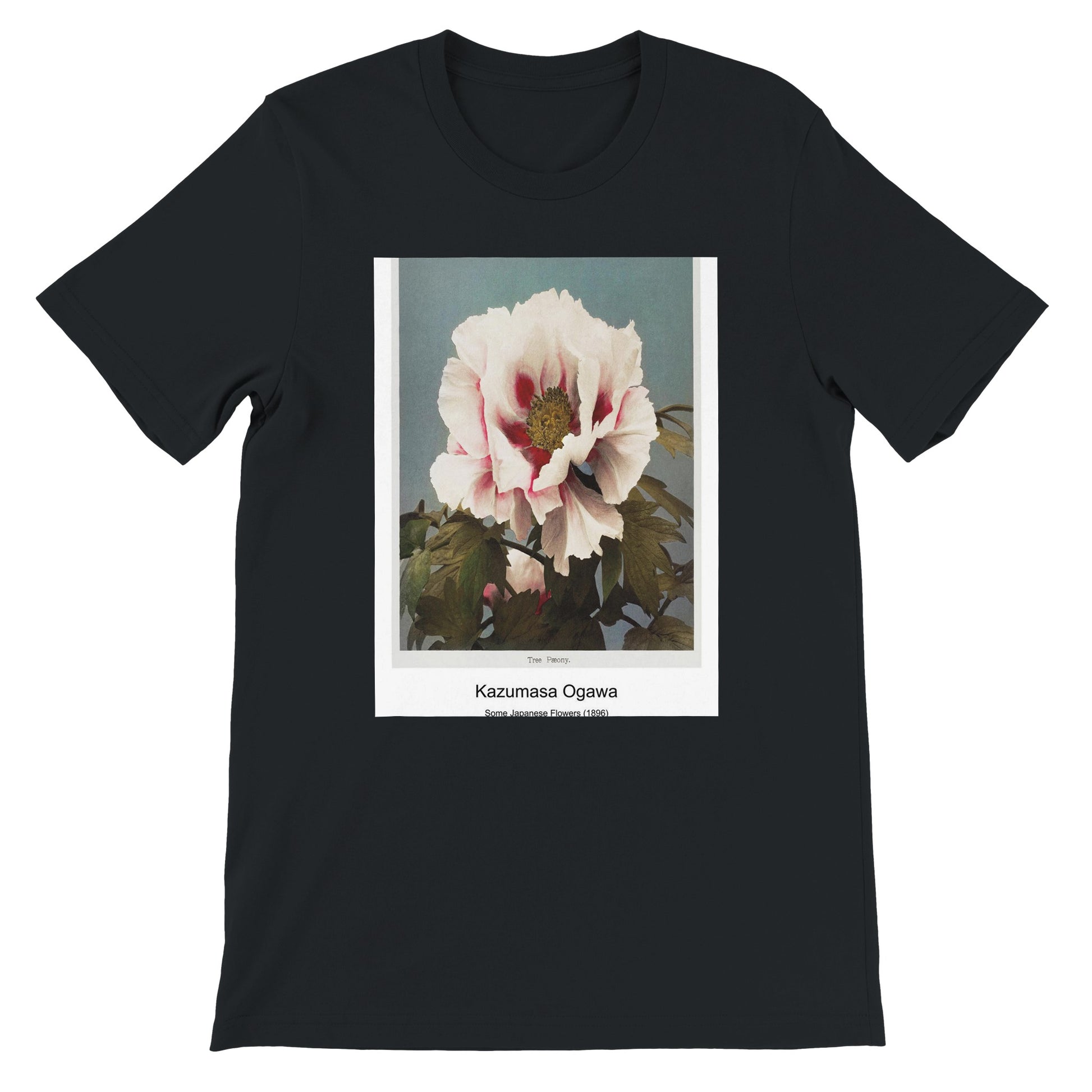 164571b1-fb48-4c7d-b166-b9047e3388e3