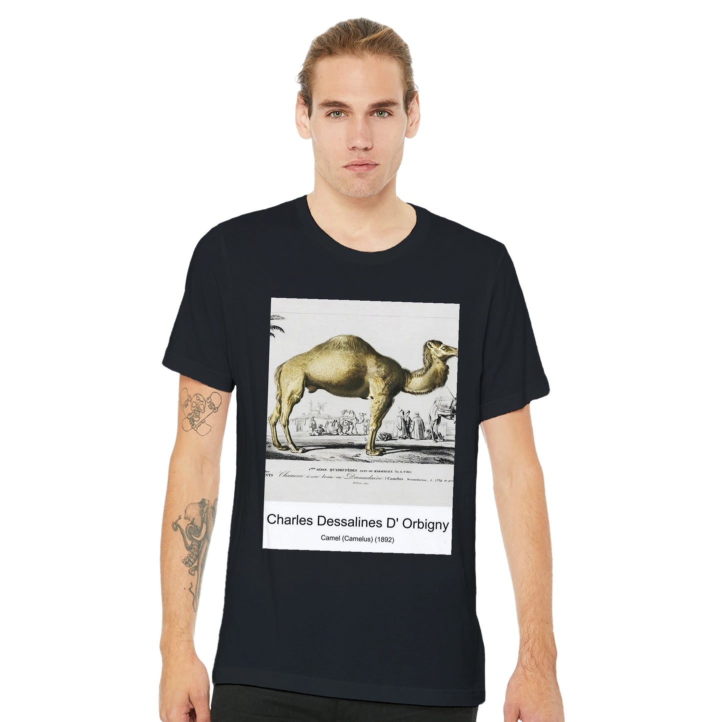 168d547a-196b-4064-9a92-e4ad381790ba