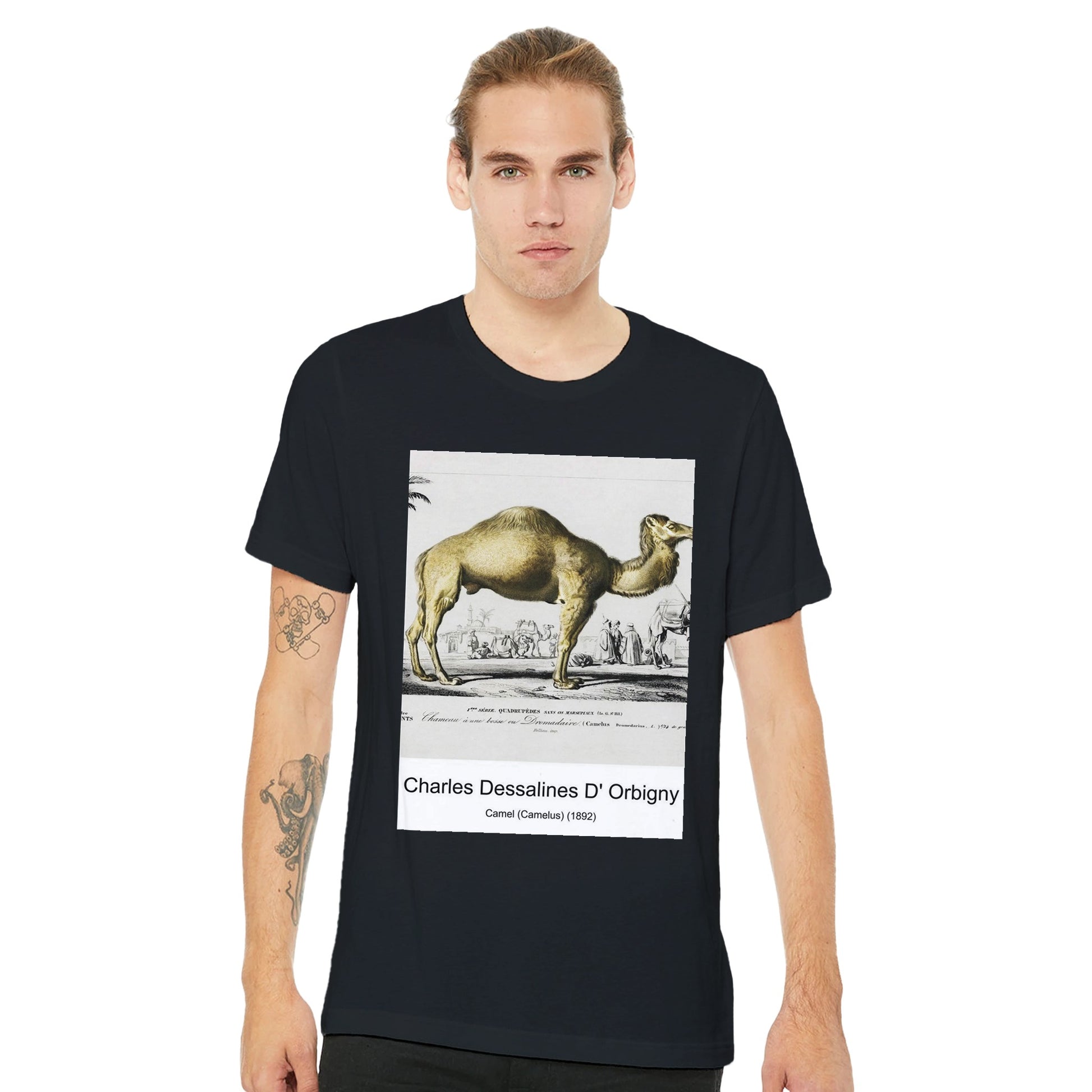 168d547a-196b-4064-9a92-e4ad381790ba