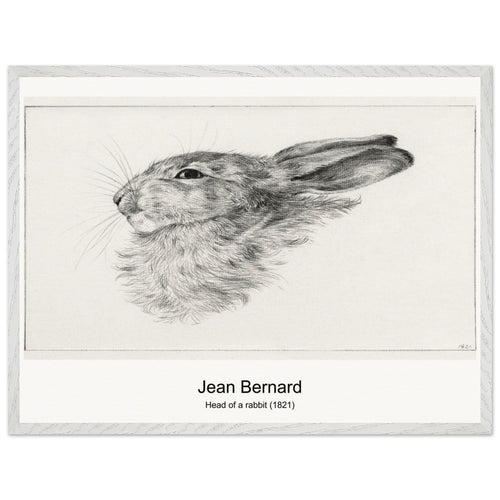 Head of a rabbit (1821) by Jean Bernard. Archival Print on Museum Quality Matte Paper. Premium Wood Framed Wall Art. Optimised Aspect Ratio.