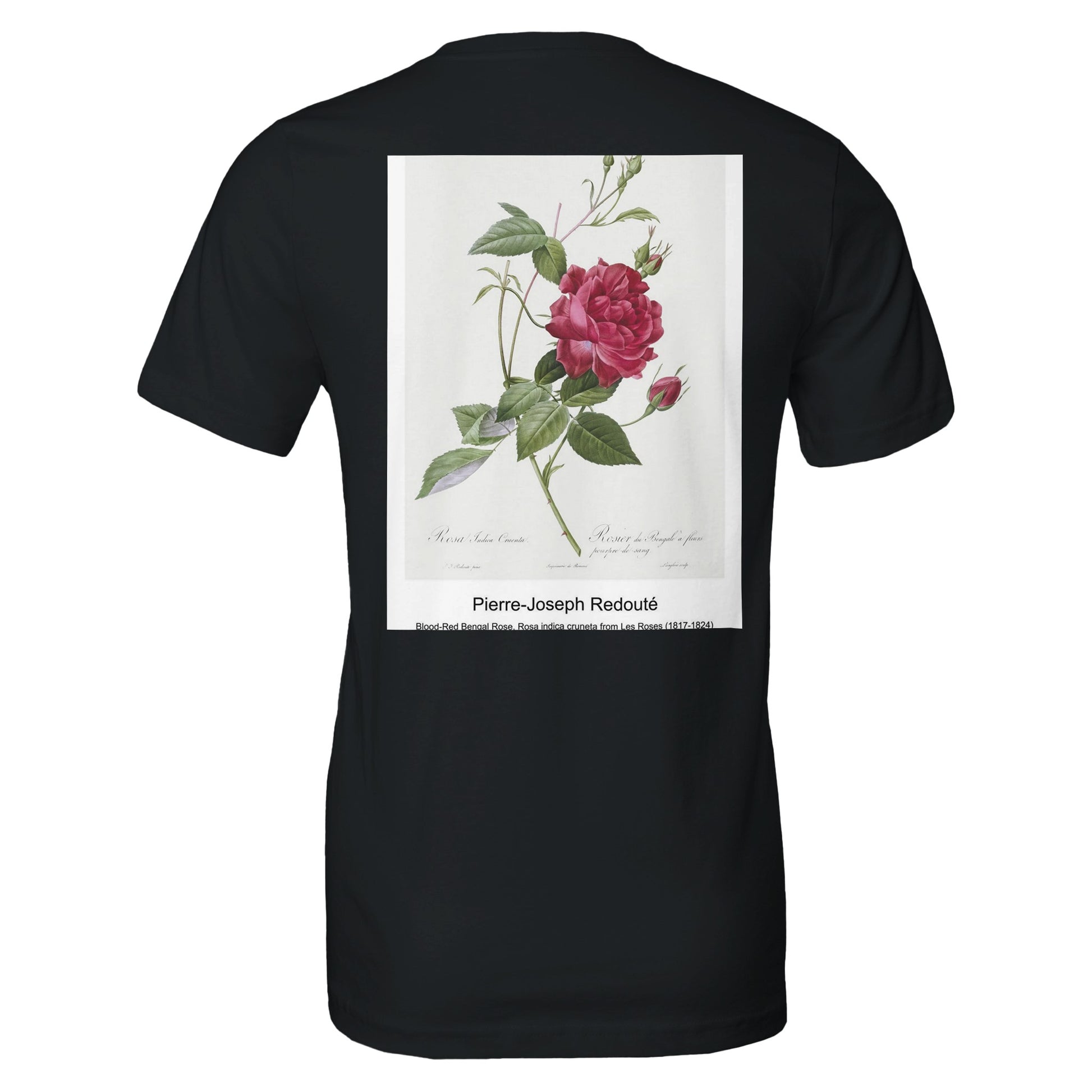 171e4de9-0b22-44c8-84a3-b72c1716421b