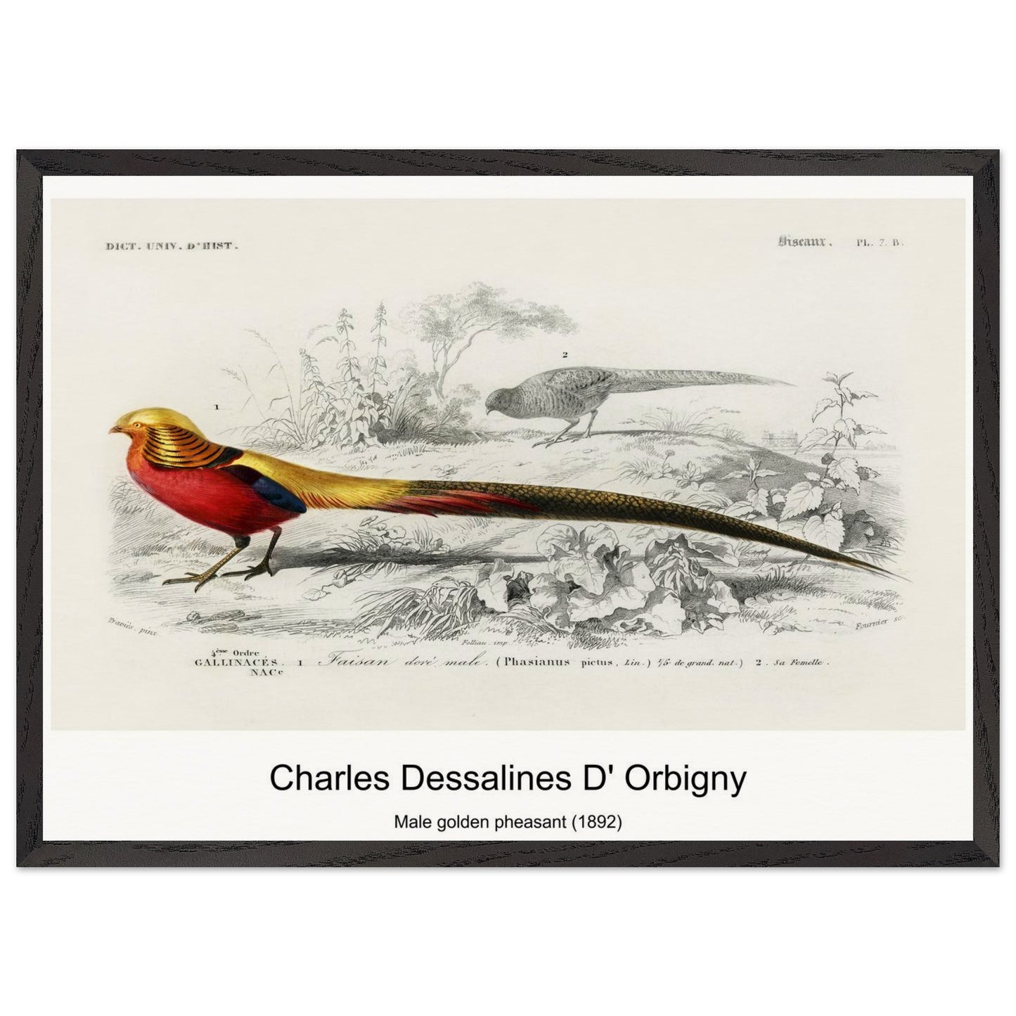 1744db32-a9b7-4c70-a133-52183c0a10e5