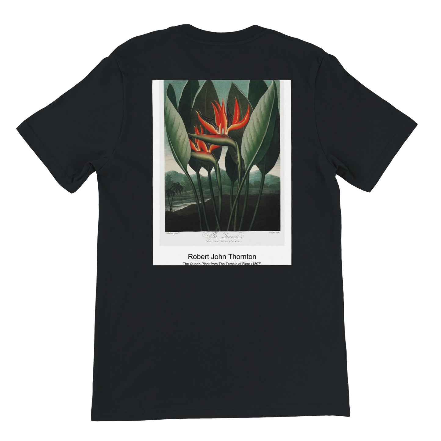 17926e82-7304-4314-abc5-070ffc20a019