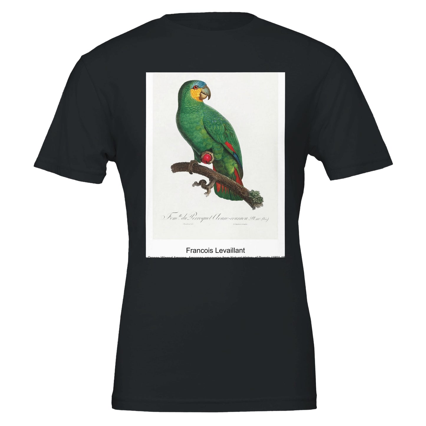 17e29eef-7e34-4ad7-9ea8-01b735af8bc2