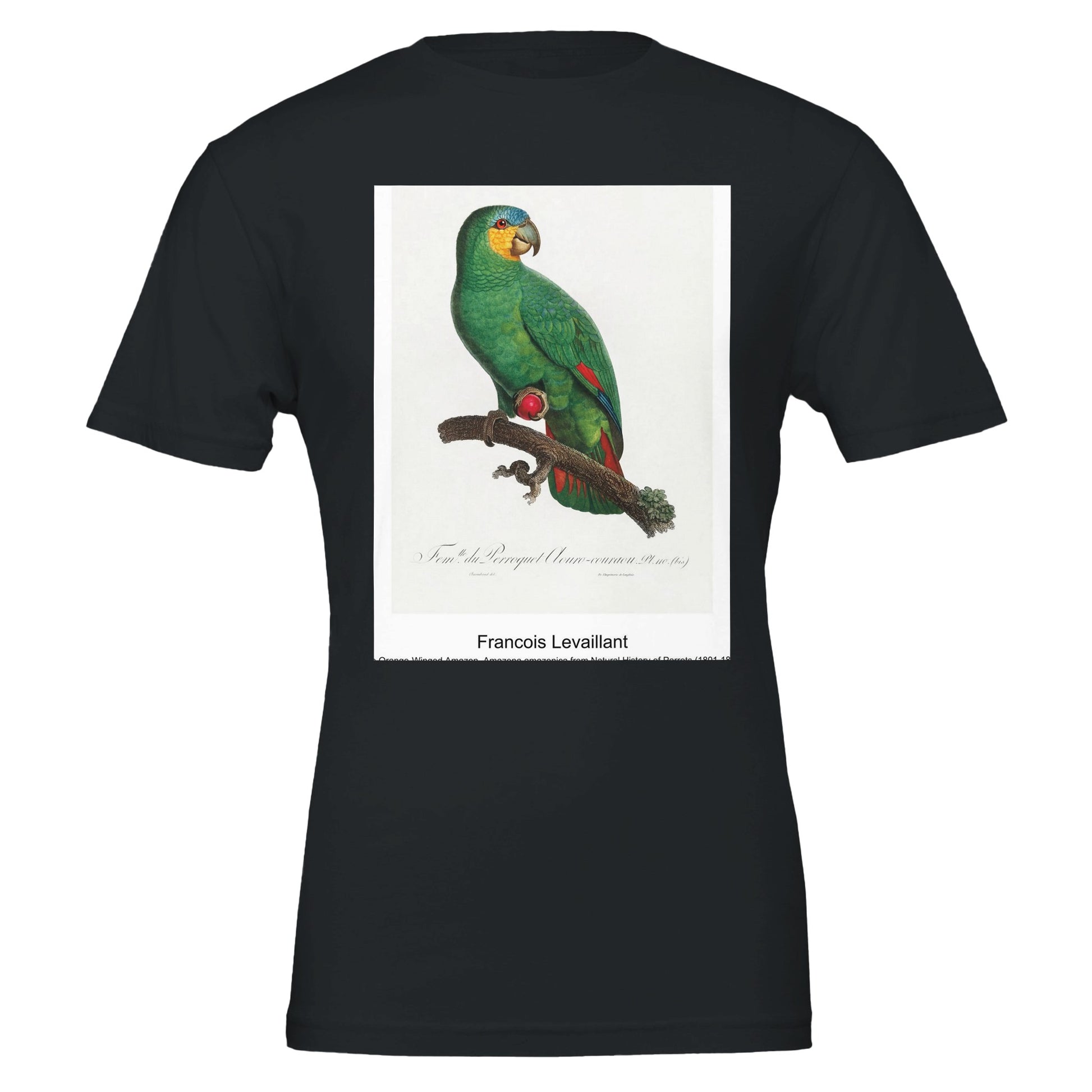 17e29eef-7e34-4ad7-9ea8-01b735af8bc2