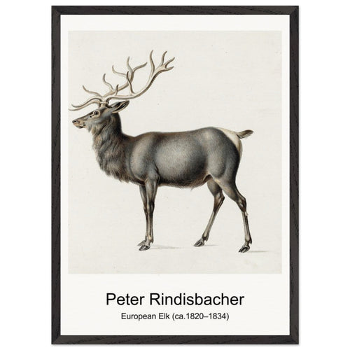 Trees in Bird Garden, Iver Heath (1913) by Paul Nash. Archival Print on Museum Quality Matte Paper. Premium Wood Framed Wall Art. Original Aspect Ratio