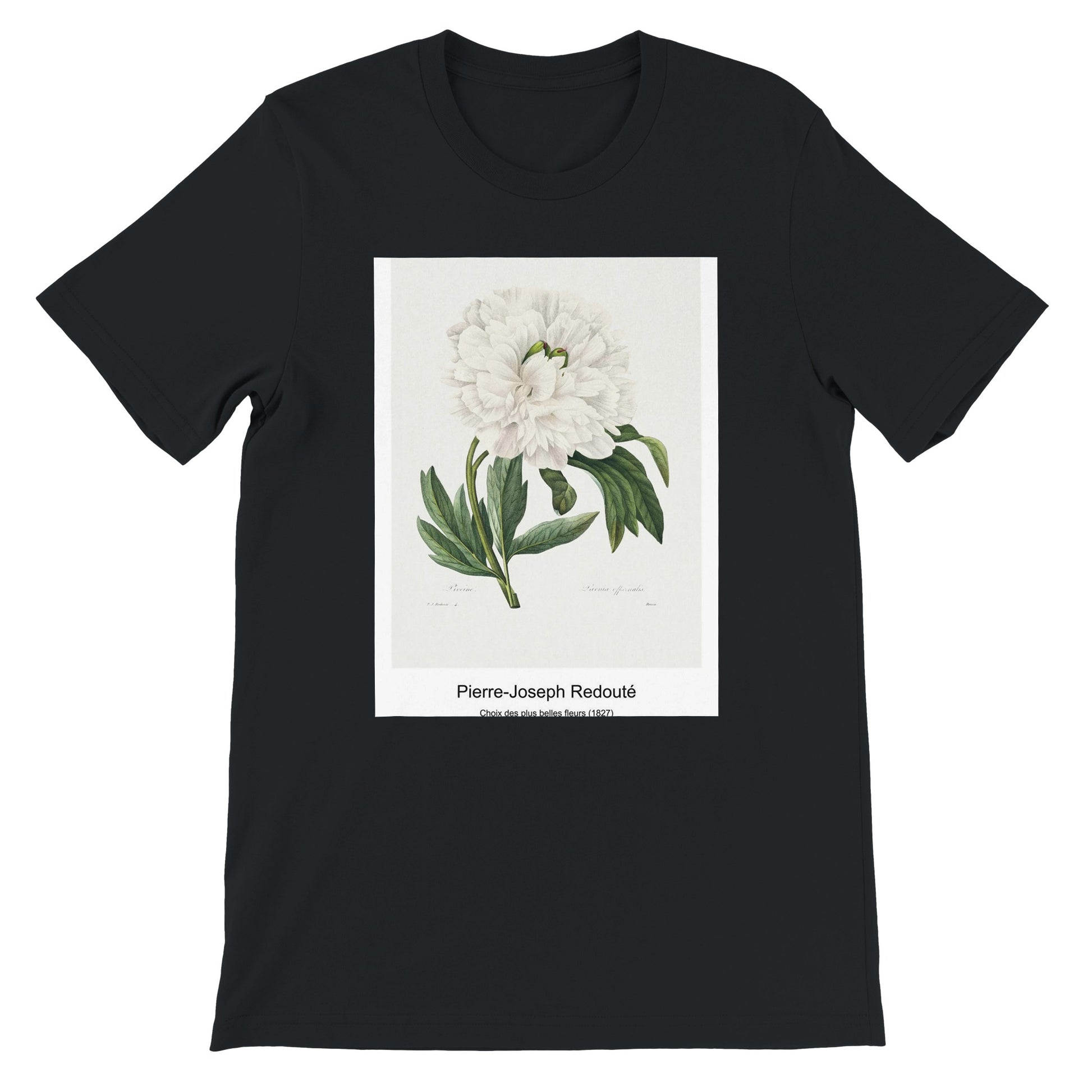 18397356-9877-48a8-a70e-a8a978ac20dc