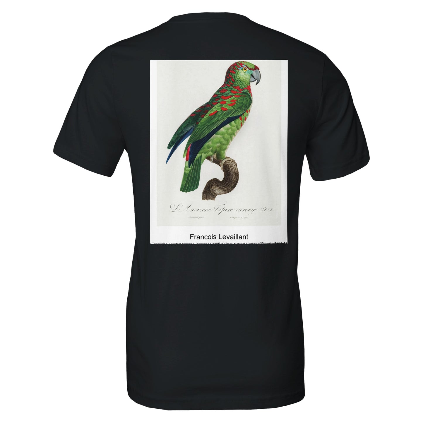 185a88e0-5e5f-453a-bb00-5564abb42851