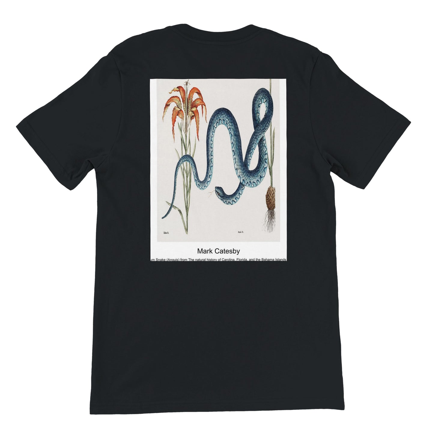 189caead-fa6d-4418-8384-b5466167692d