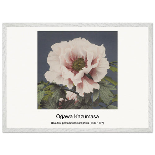 Beautiful photomechanical prints (1887-1897) by Ogawa Kazumasa. Archival Print on Museum Quality Matte Paper. Premium Wood Framed Wall Art. Original Aspect Ratio