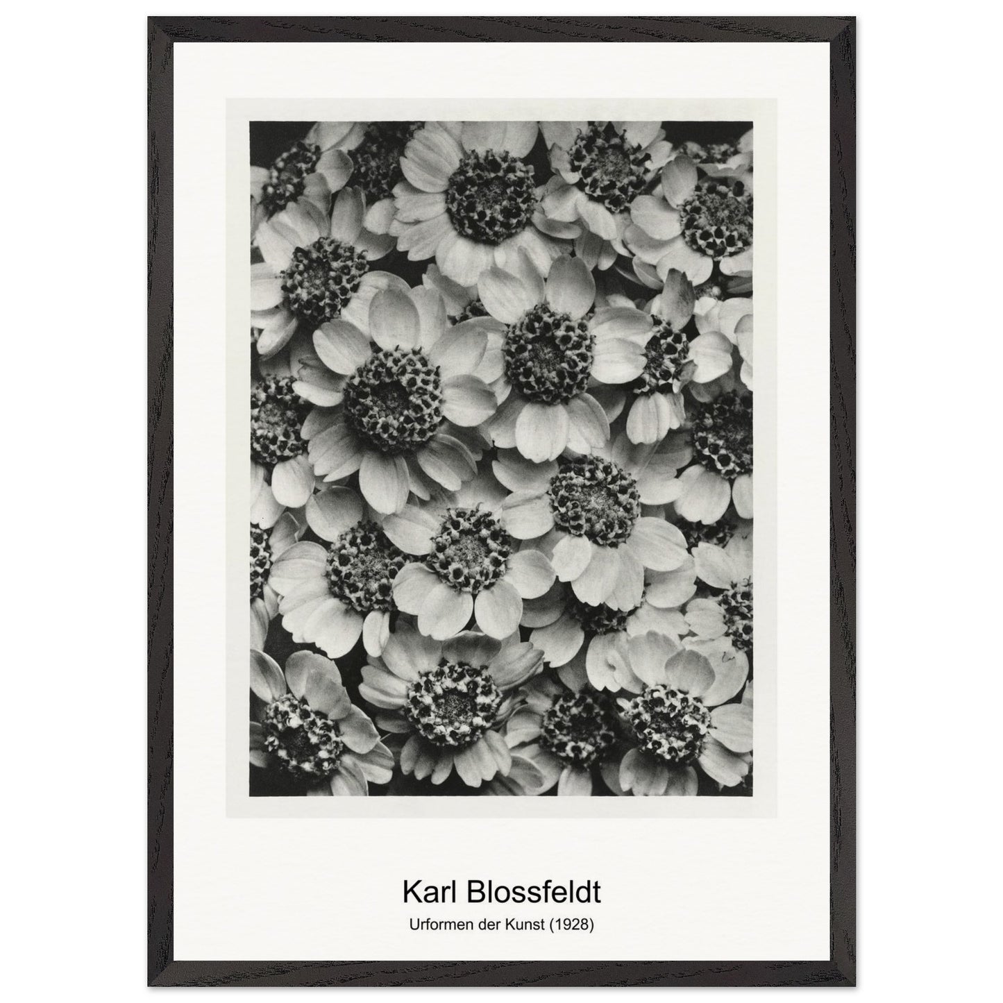 198c1033-e764-4d6b-87e3-8fd5c9564a23