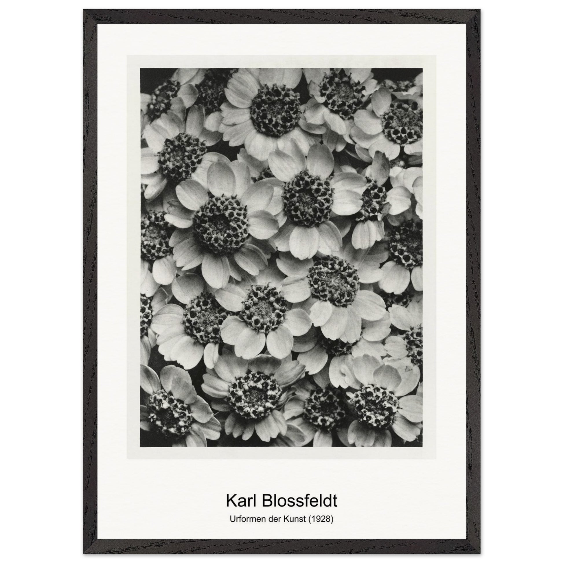 198c1033-e764-4d6b-87e3-8fd5c9564a23