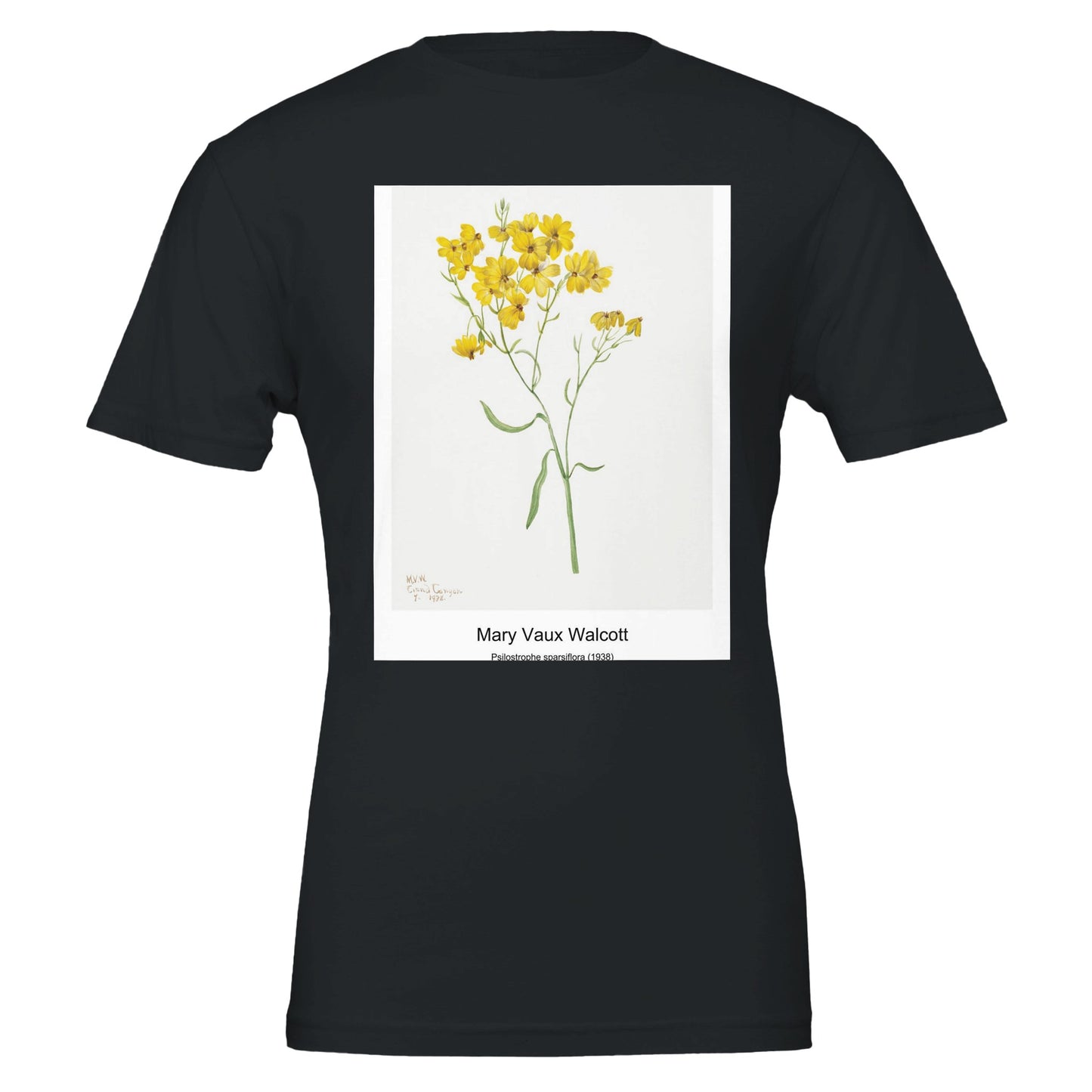 19e8ac72-cb51-4604-8fd1-ad656f95faf3