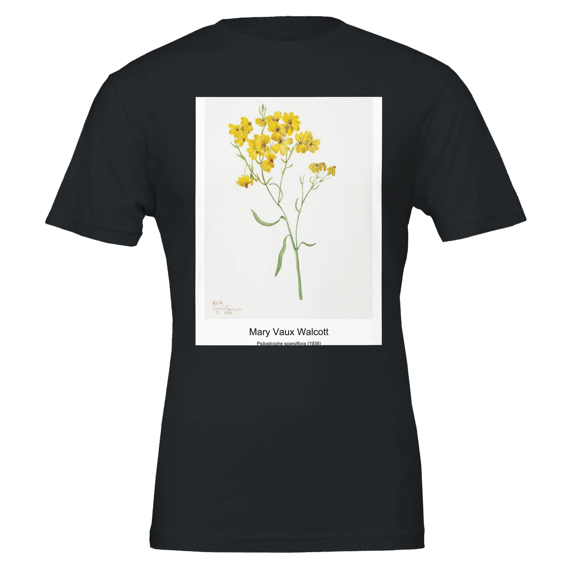 19e8ac72-cb51-4604-8fd1-ad656f95faf3