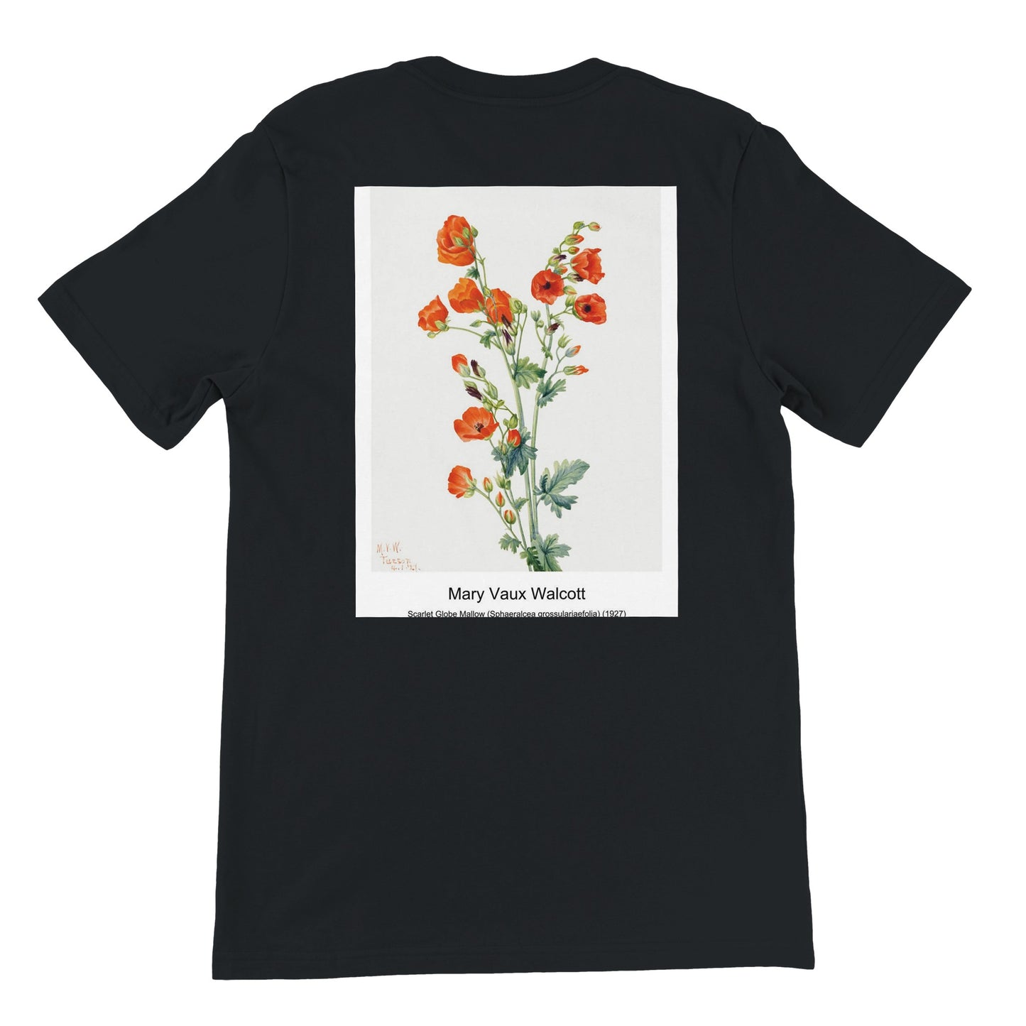 1a63c5db-ffe3-4ed9-aec0-199d0b47c3eb