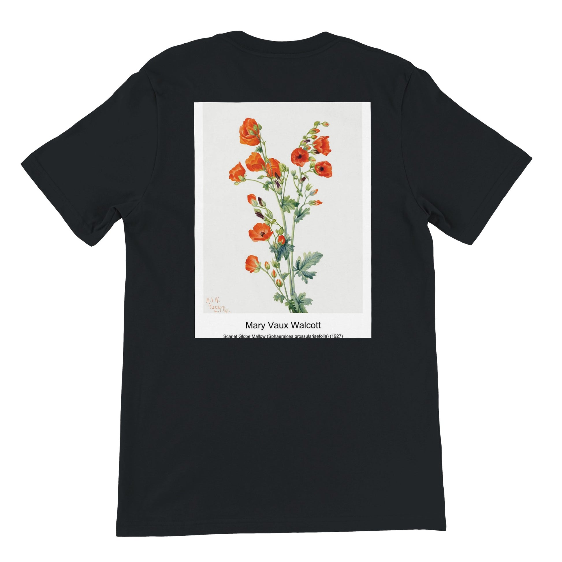 1a63c5db-ffe3-4ed9-aec0-199d0b47c3eb