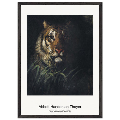 Tiger's Head (1904–1909) by Abbott Handerson Thayer. Archival Print on Museum Quality Matte Paper. Premium Wood Framed Wall Art. Original Aspect Ratio