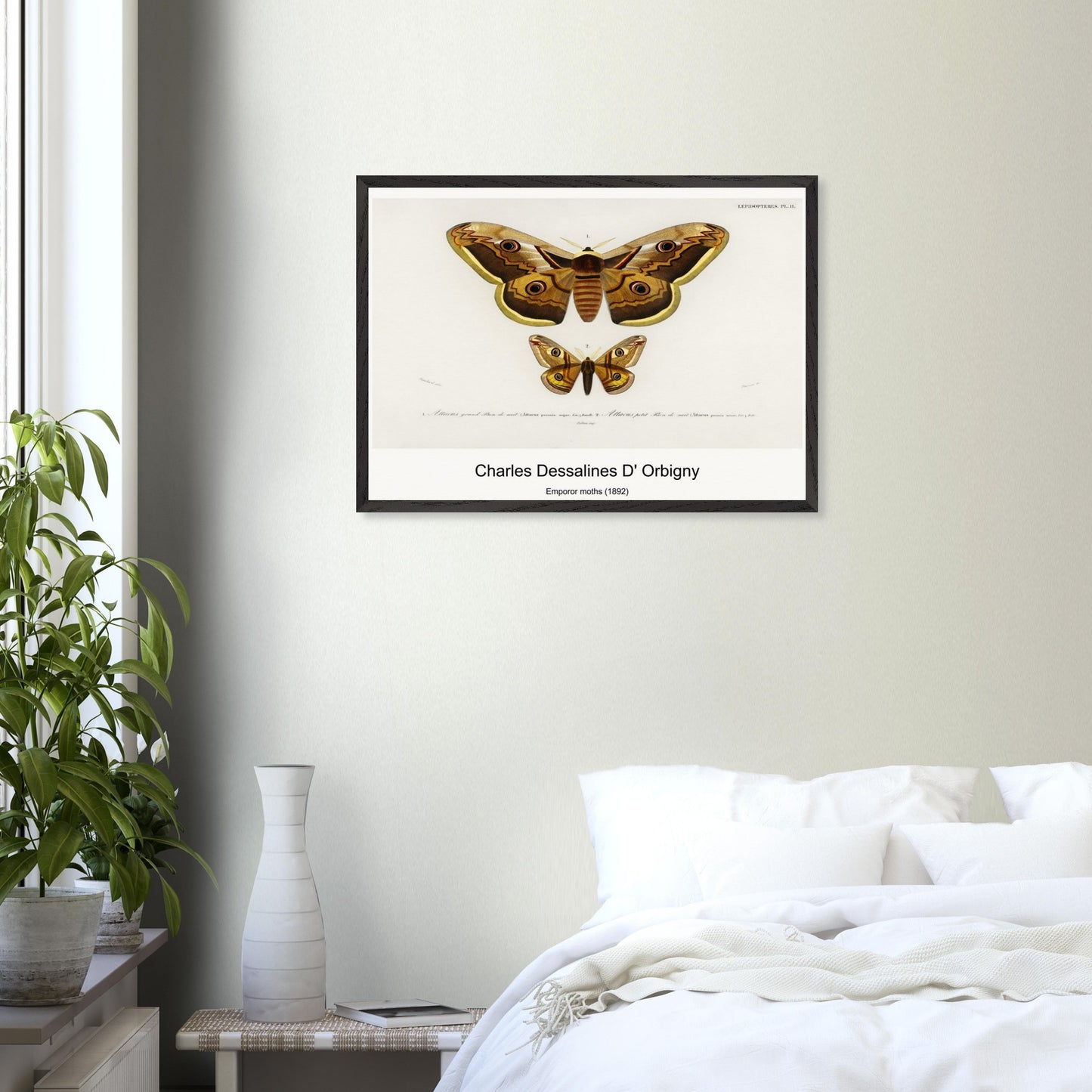 1b15a2c8-8ca1-4cfd-bdc9-3967d3e0d372