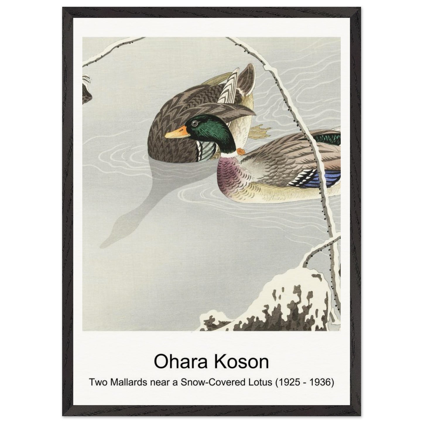 1b79592e-5107-4244-a577-8eea9b5a0377