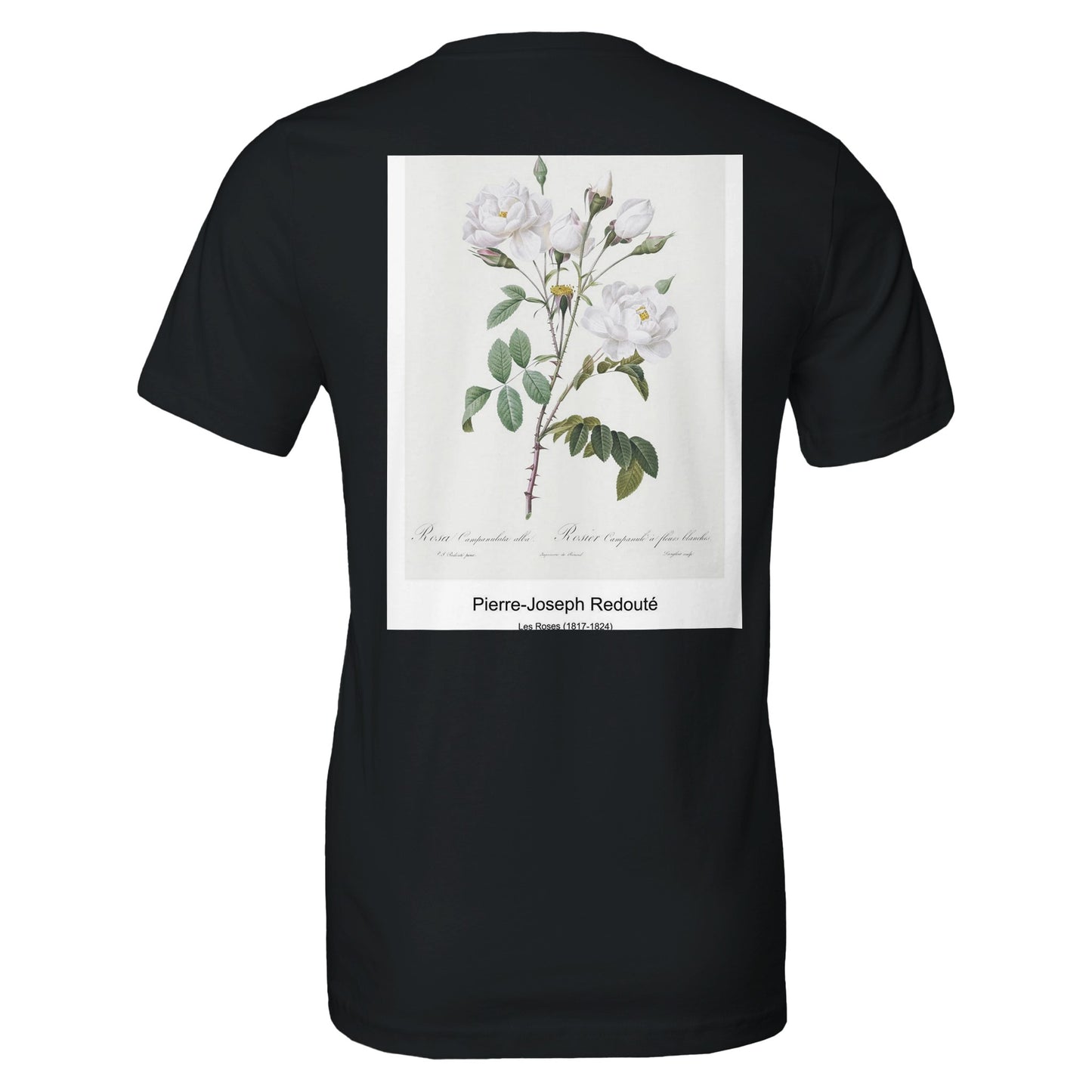 1c33da8c-d382-4767-b18e-ddc745e583fa