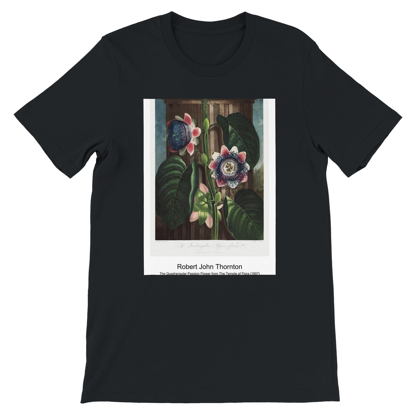 1c56b40e-a1fe-46d2-a475-5a92b1848887