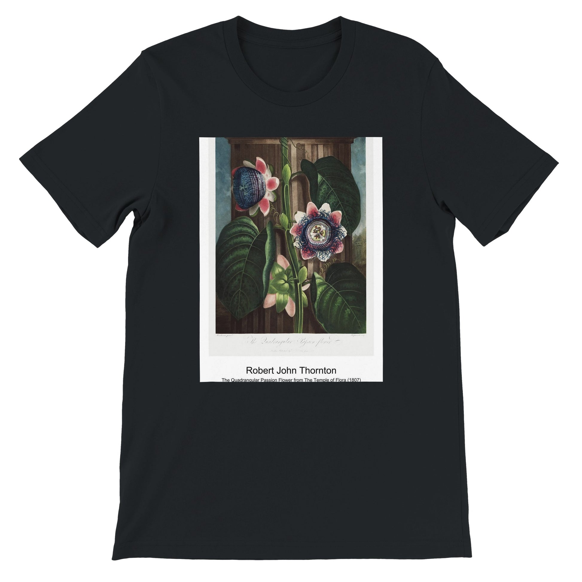 1c56b40e-a1fe-46d2-a475-5a92b1848887