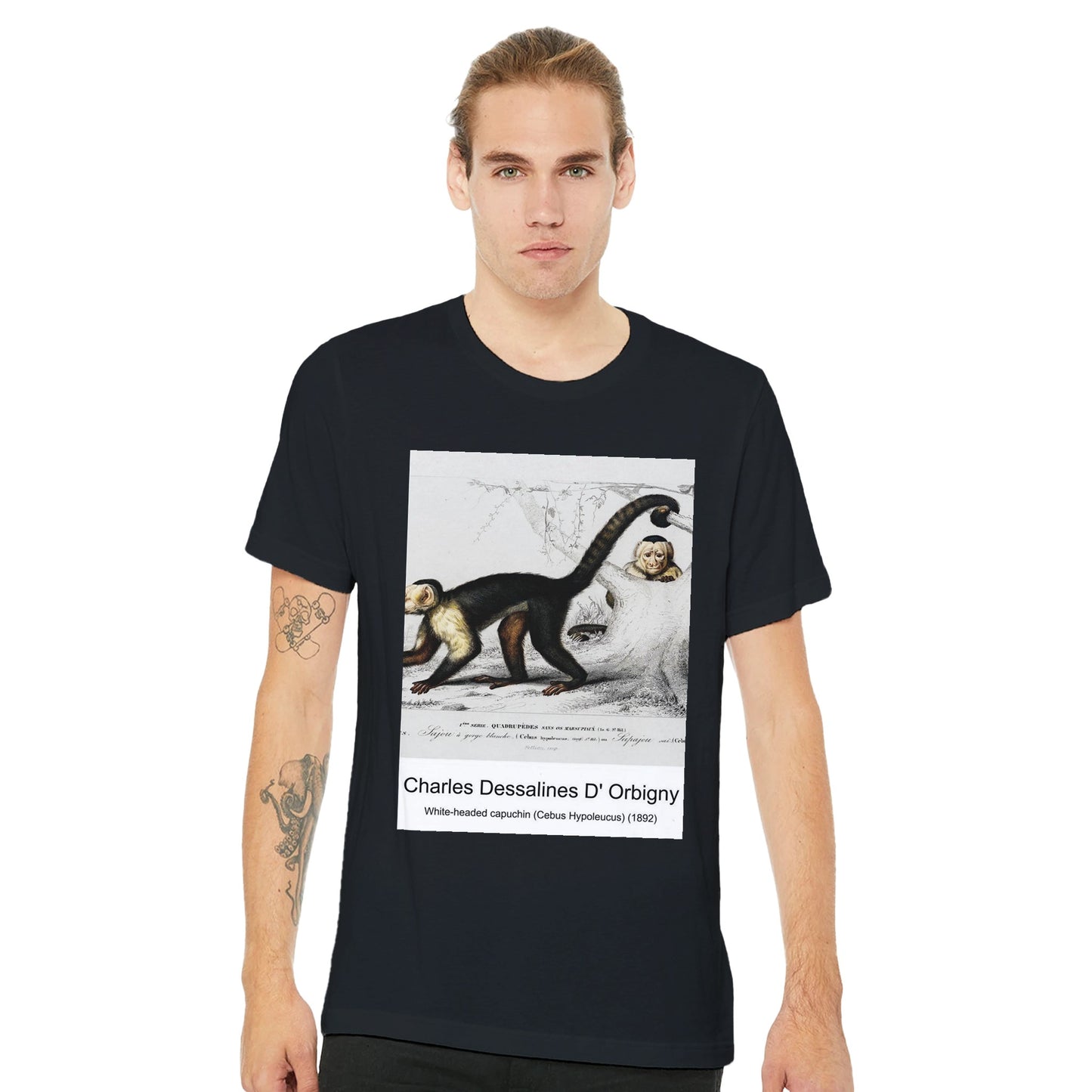 1d8b6d94-b3ac-4d3c-a6e2-e7c31aa8b91b