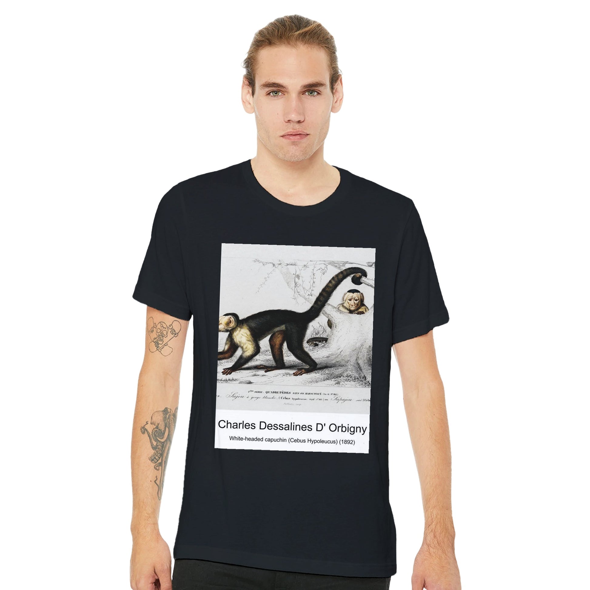 1d8b6d94-b3ac-4d3c-a6e2-e7c31aa8b91b