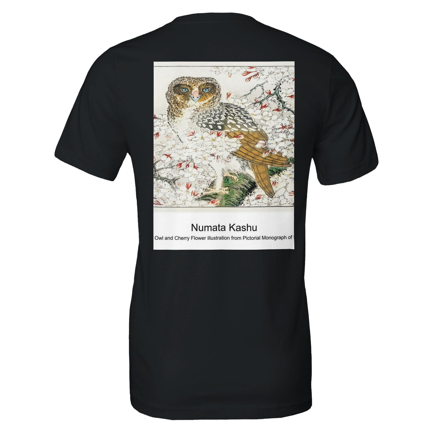 1df239fe-c6d2-44e3-8bfb-7245f4eaeb12