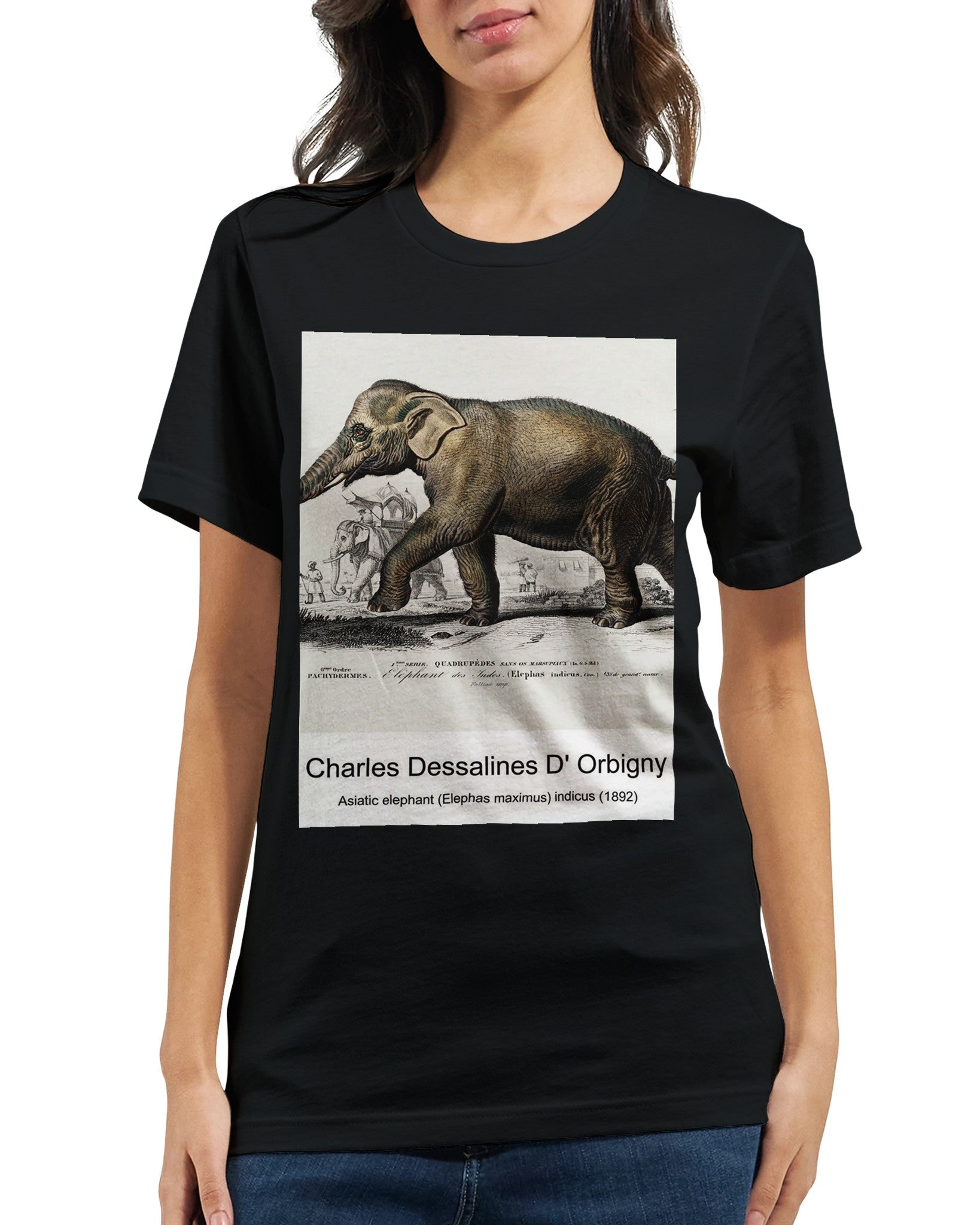 1e582d32-05df-4ba5-98bd-4154c24411ce