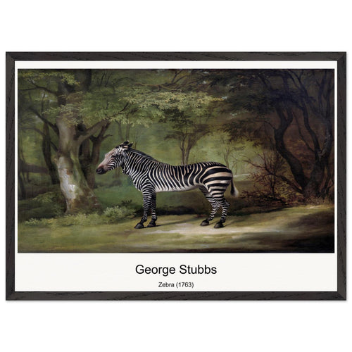 Zebra (1763) by George Stubbs. Archival Print on Museum Quality Matte Paper. Premium Wood Framed Wall Art. Optimised Aspect Ratio.