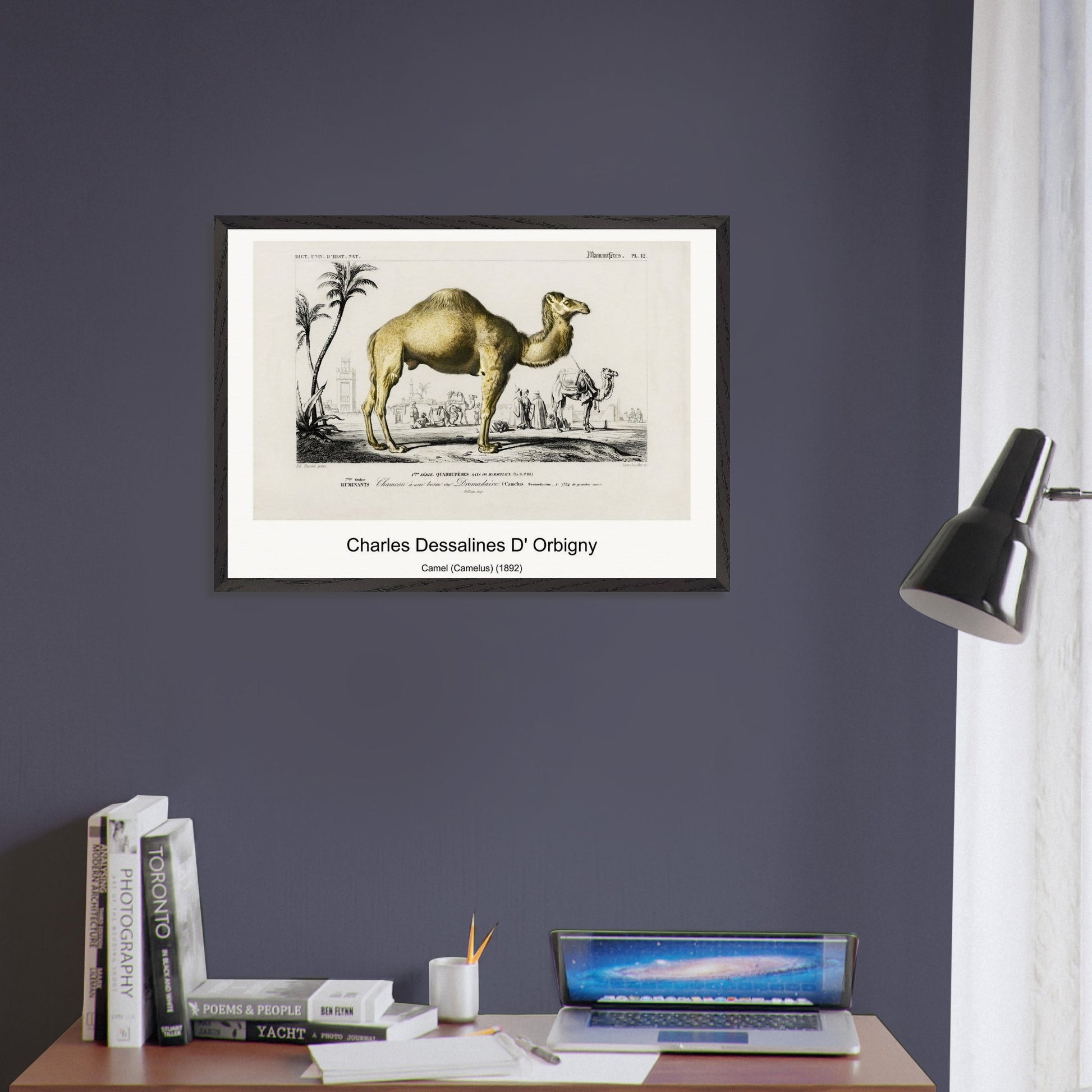 1f1d00c8-1cfd-47e6-a59a-fe162fa5b92d