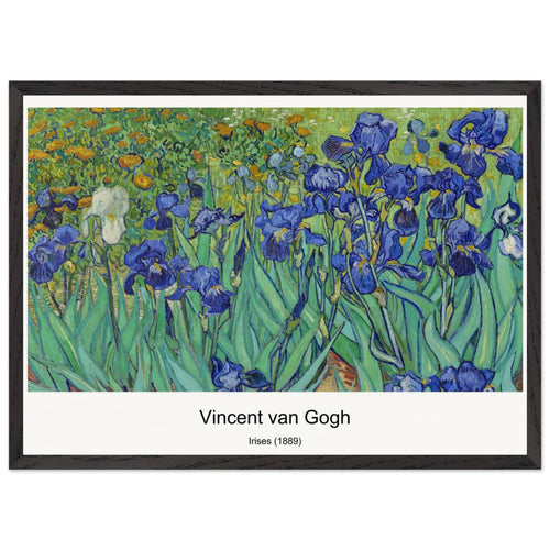 Flower Beds in Holland (c. 1883) by Vincent van Gogh. Archival Print on Museum Quality Matte Paper. Premium Wood Framed Wall Art. Original Aspect Ratio
