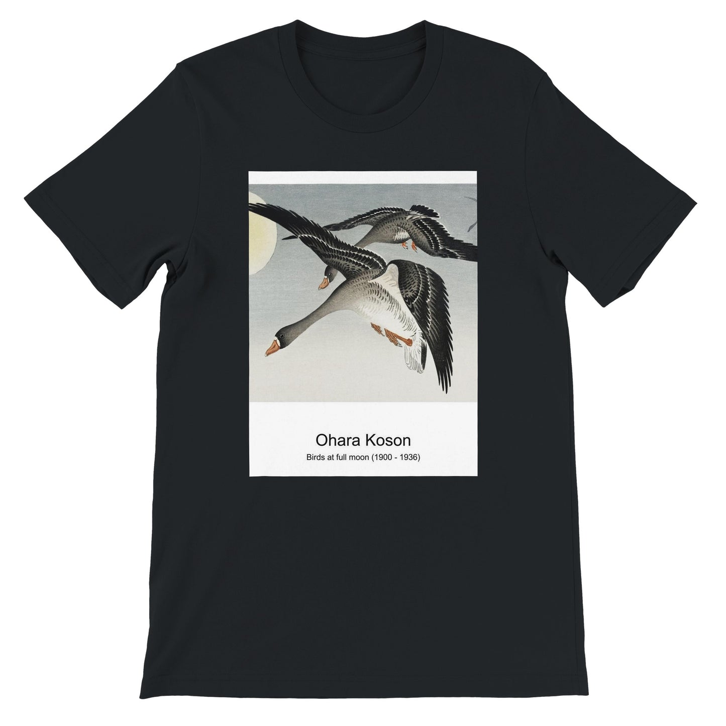 1fa3df36-d3b2-43e5-aff2-c1bcbb9f0092