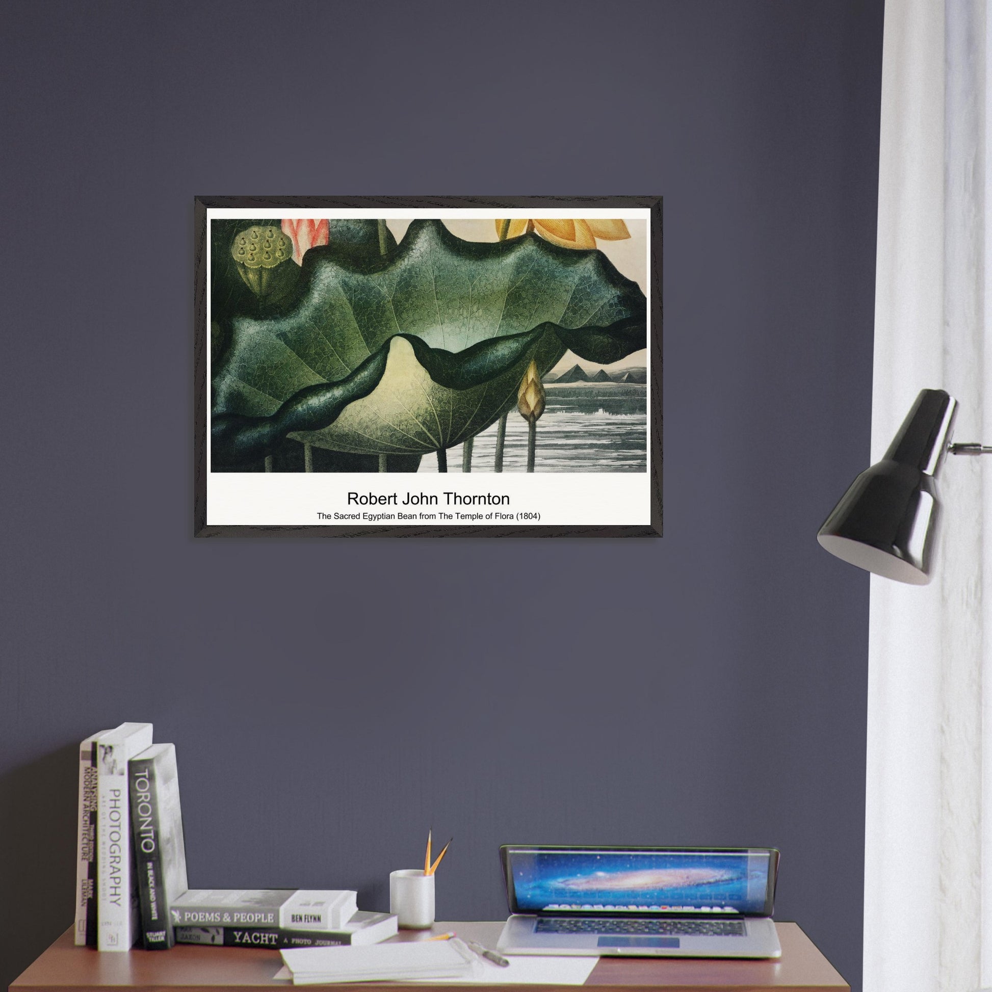 20a1d11d-526e-4c89-96d7-86729f2a9961