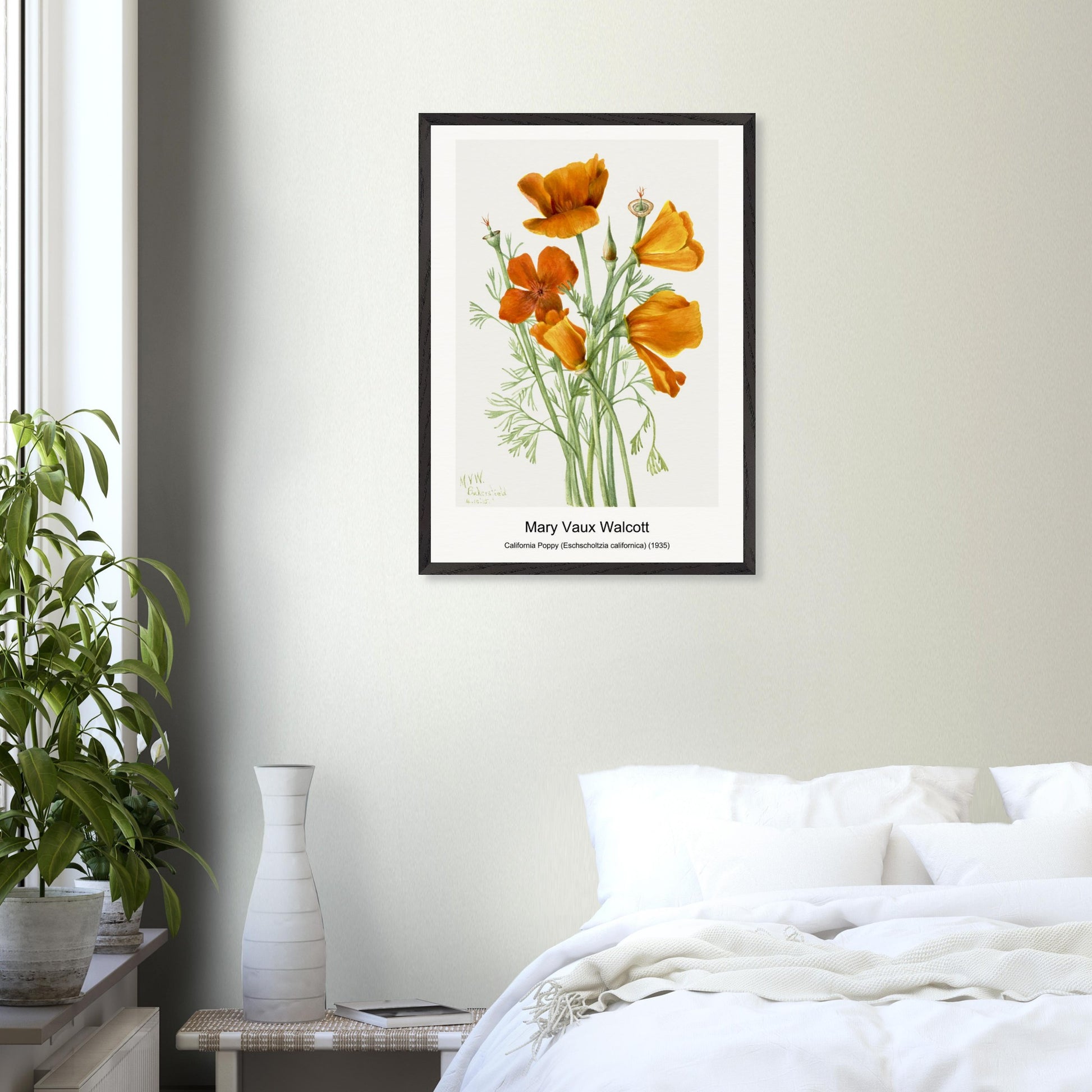 20eedb32-d8e1-46c5-96de-ee6d4f0167f7