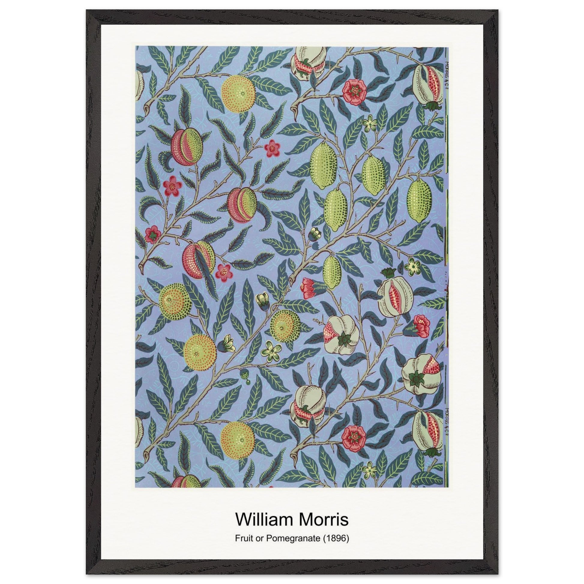 20f2eb4d-6236-43dd-b834-4c4425b7e43a