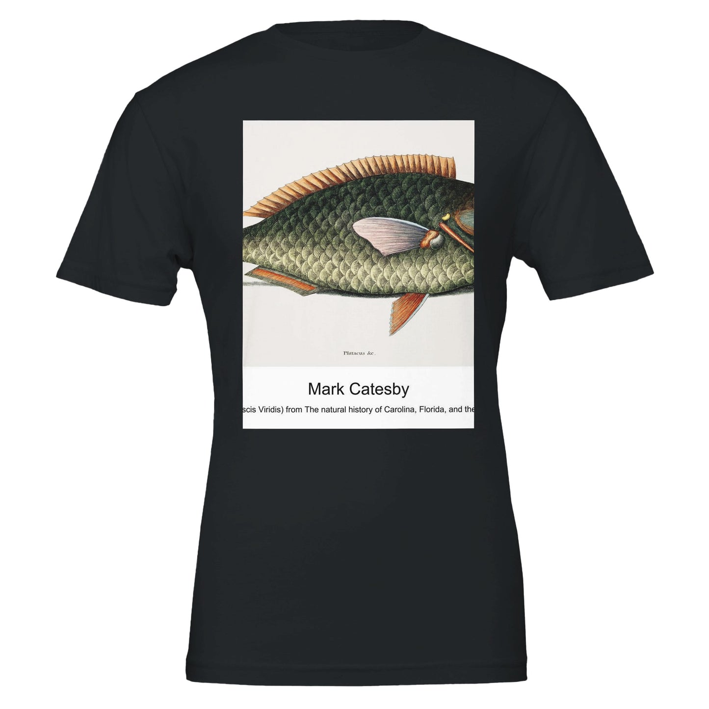 20fcf7c3-896e-454d-8a15-aeff5e418035