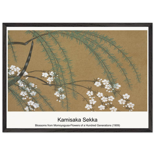 Blossoms from Momoyogusa-Flowers of a Hundred Generations (1909) by Kamisaka Sekka. Archival Print on Museum Quality Matte Paper. Premium Wood Framed Wall Art. Optimised Aspect Ratio.