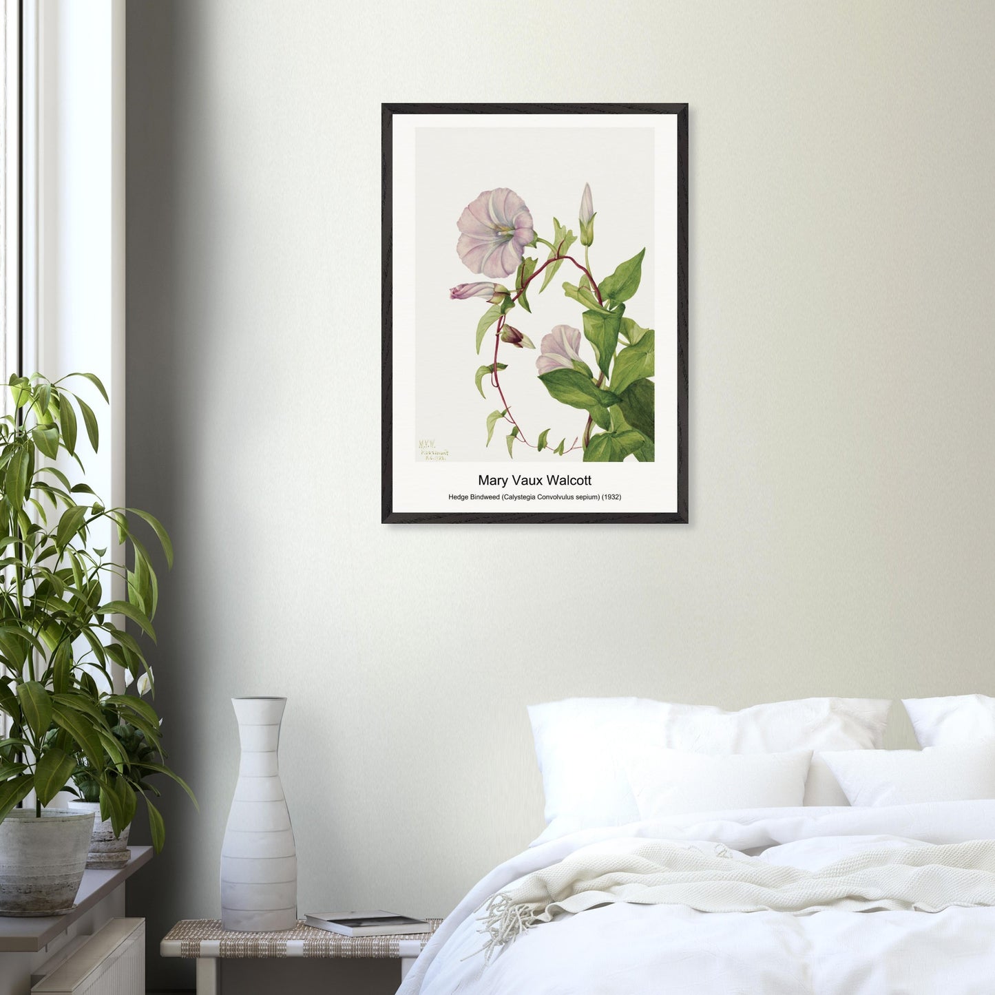 21dffdd2-467b-40a5-9154-6ca3a6db5564