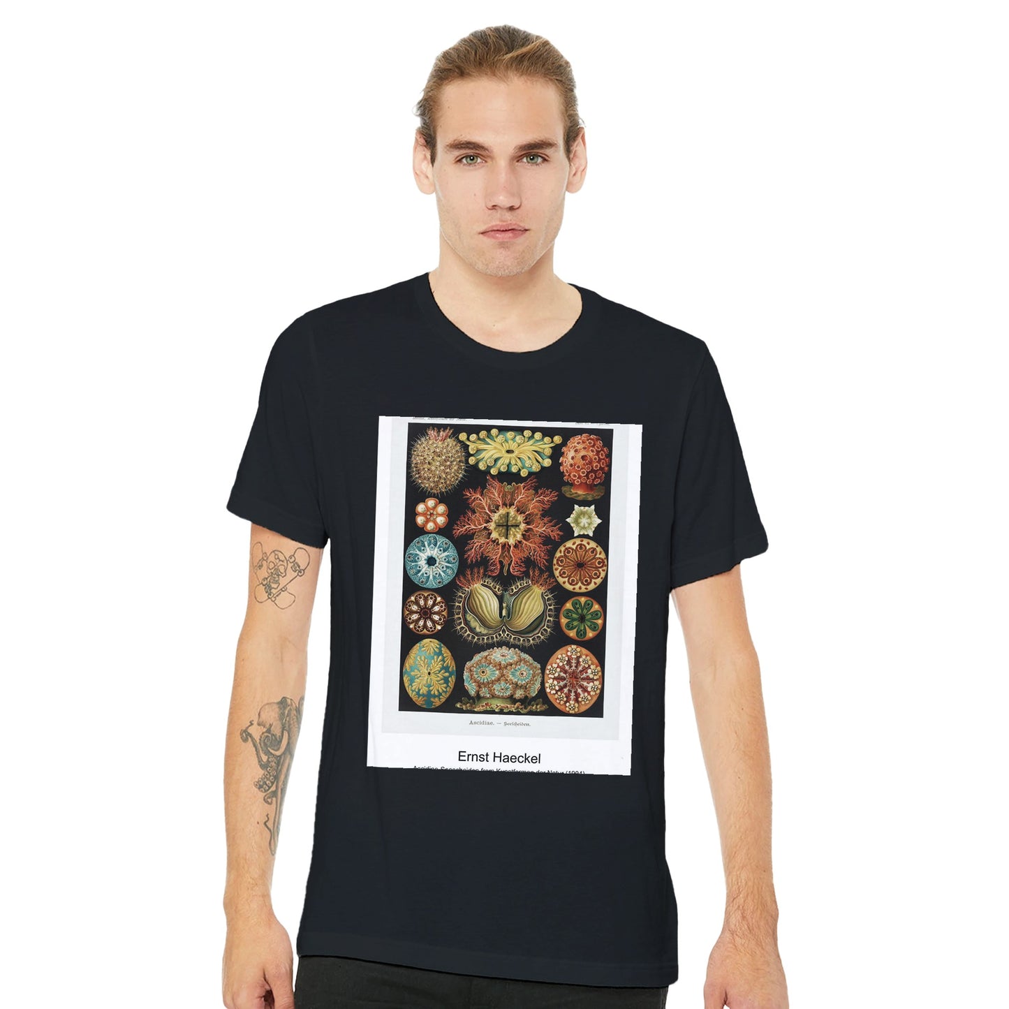 21f6035a-3f03-4c79-b143-1d5c9015a261