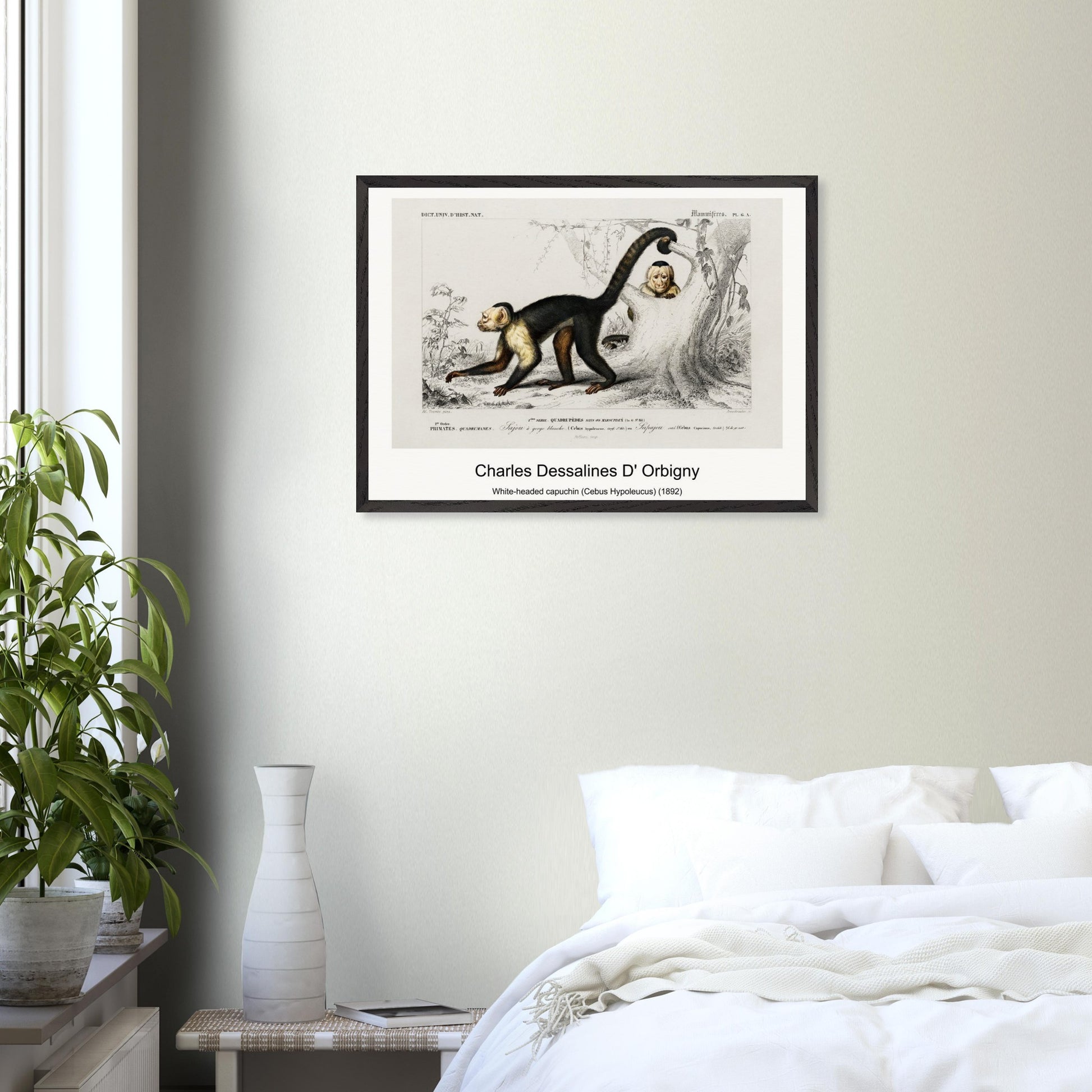 2282fc4a-4a7d-47f1-b23f-1e02f83e11cb