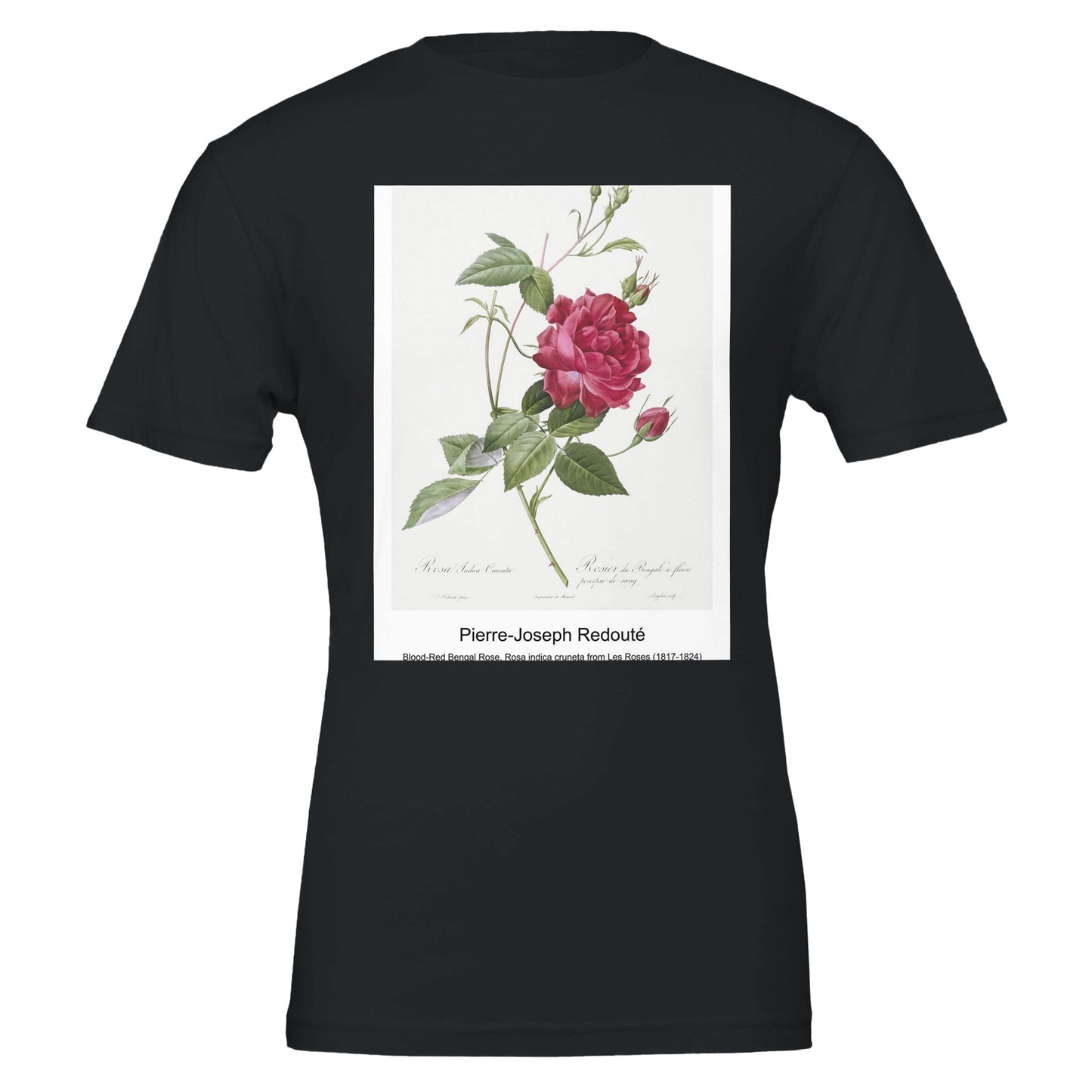 22d65529-9756-4035-8ad3-9cd19a173b7d