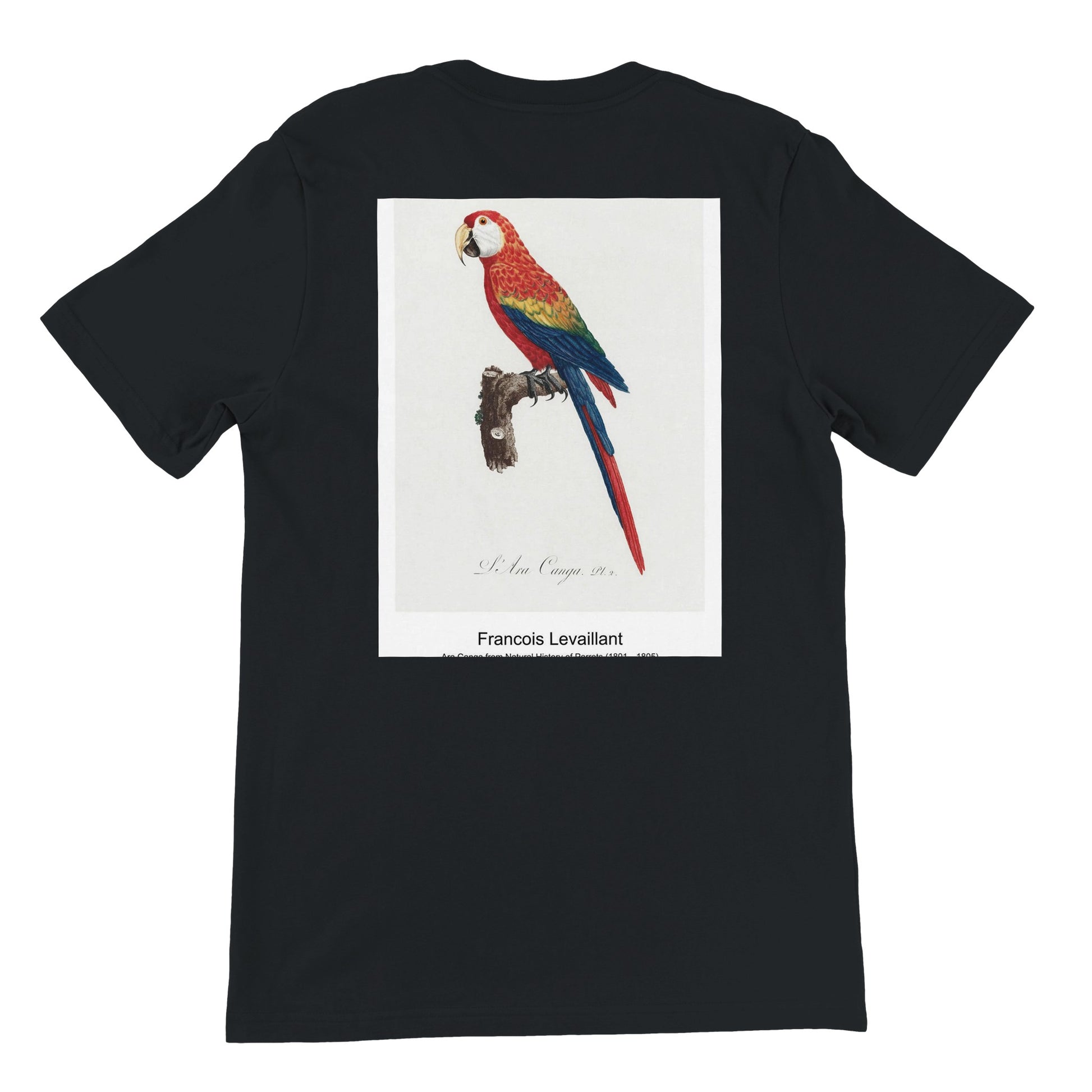 23097e5a-bcc4-4142-9784-81322af2e7dd