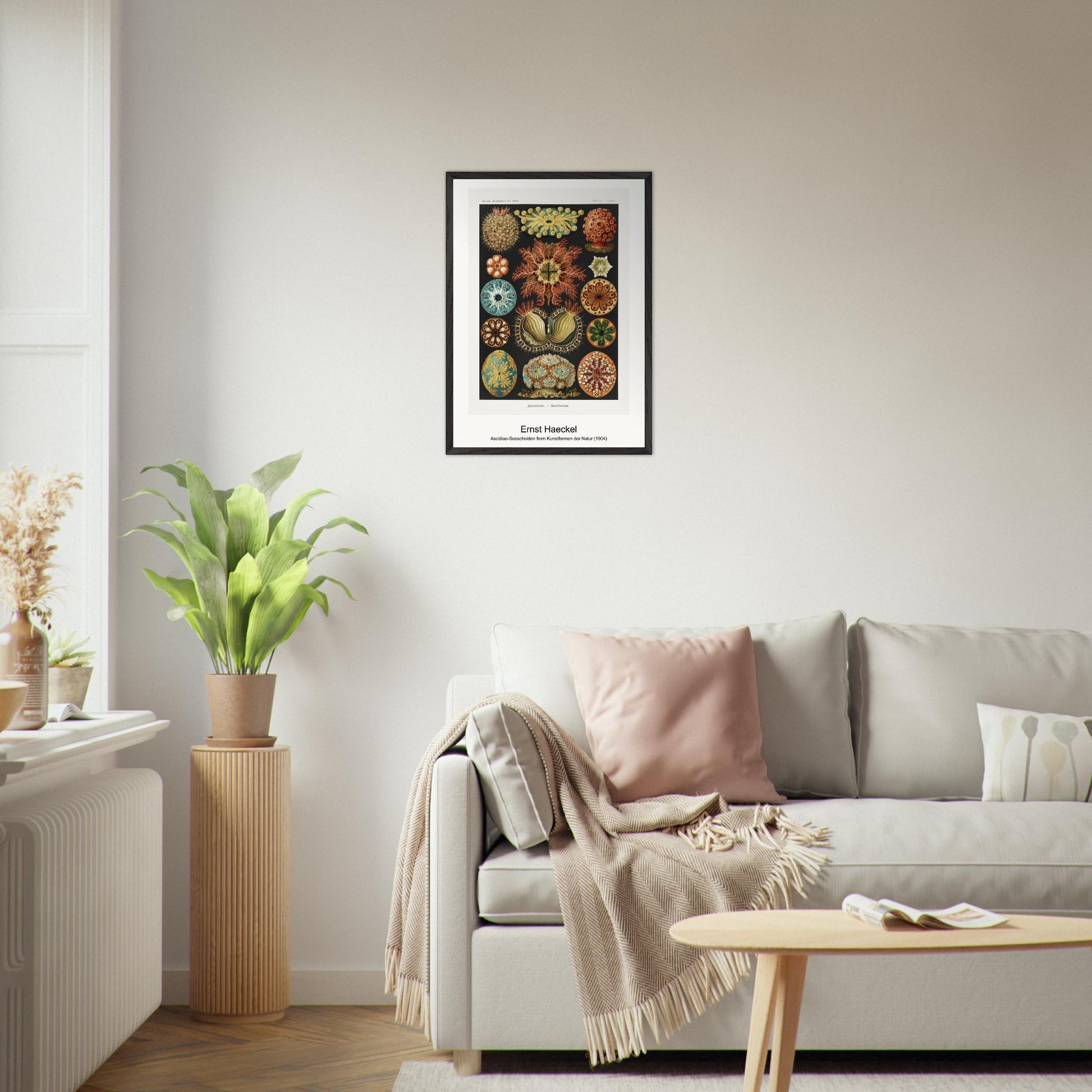 23586775-7437-4a1b-8c8f-a901393c5fe5