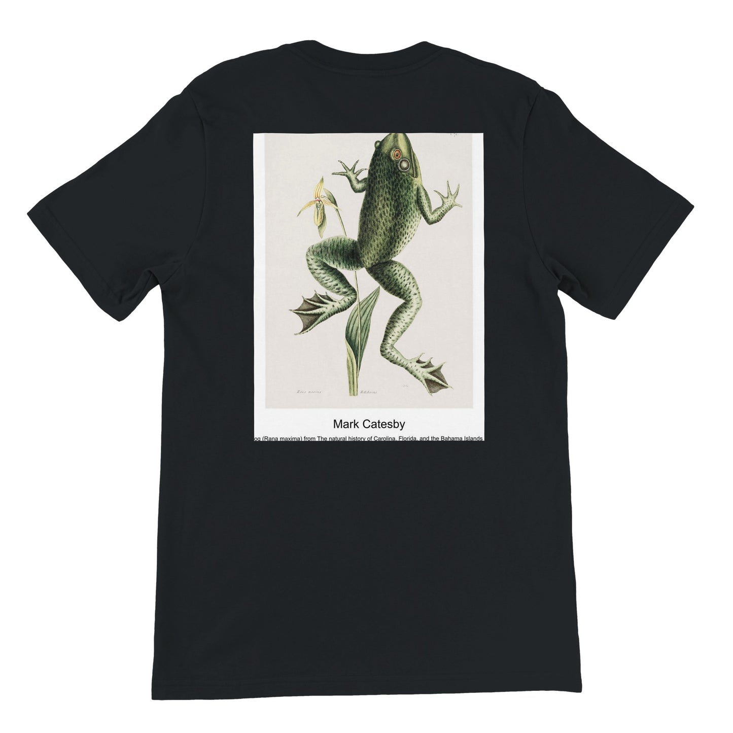 236215a5-5ff5-4985-8caf-d272f1ce7260